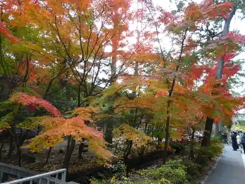 鶴岡八幡宮(神奈川県)