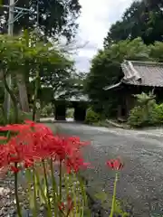 普門寺(切り絵御朱印発祥の寺)の自然