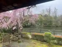 正法寺の{uncategorized: "未分類", other: "その他", undefined: "問題あり", building: "その他建物", grave: "お墓", sacred_gate: "鳥居", guardian: "狛犬", statue: "像", buddha: "仏像", history: "歴史", nature: "自然", garden: "庭園", animal: "動物", pagoda: "塔", temizu: "手水舎", mountain_gate: "山門・神門", sanctuary: "本殿・本堂", subordinate: "末社・摂社", art: "芸術", scenery: "景色", jizo: "地蔵", ema: "絵馬", goshuin: "御朱印", omikuji: "おみくじ", items: "授与品その他", amulet: "お守り", goshuincho: "御朱印帳", eats: "食事", festival: "お祭り", votive_dance: "神楽", shichigosan: "七五三参", wedding: "結婚式", experience: "体験その他", initially: "初詣", around: "周辺", anti_infection: "感染症対策"}