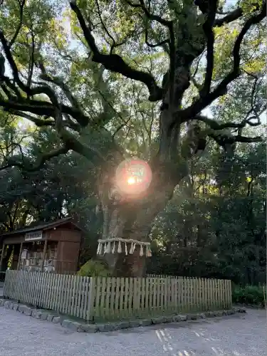 熱田神宮(愛知県)