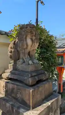 八坂神社(祇園さん)の狛犬