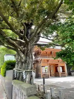 八幡大神社(東京都)