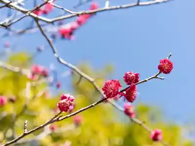 杉本寺(神奈川県)