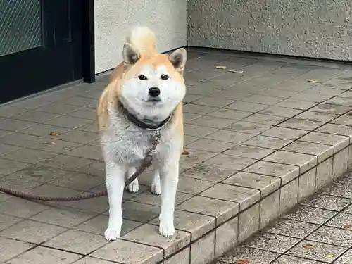 笠䅣稲荷神社(神奈川県)