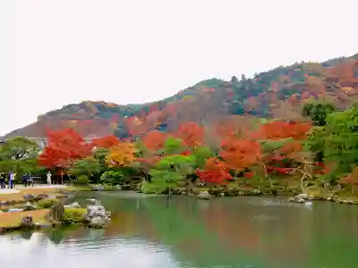 天龍寺(京都府)