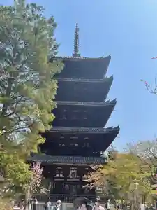 仁和寺のその他建物 2022年04月10日(日)〜(2022年04月13日(水) 16時21分46秒投稿)