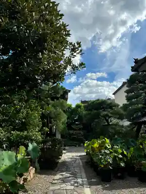 行願寺（革堂）の自然