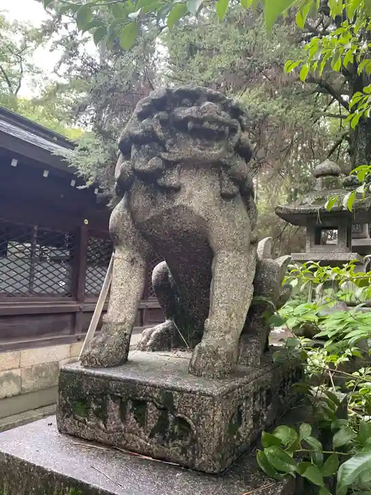 御霊神社(上御霊神社)(京都府)