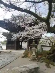 粉河寺の山門