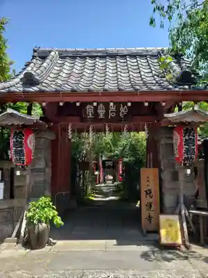 陽運寺の山門・神門