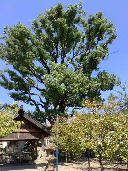 神明社(伝馬神明社)(愛知県)
