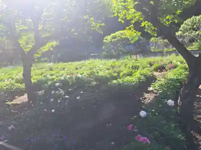 龍寳寺（龍宝寺）(神奈川県)