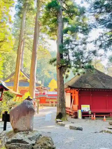 瀧尾神社（日光二荒山神社別宮）の{uncategorized: "未分類", other: "その他", undefined: "問題あり", building: "その他建物", grave: "お墓", sacred_gate: "鳥居", guardian: "狛犬", statue: "像", buddha: "仏像", history: "歴史", nature: "自然", garden: "庭園", animal: "動物", pagoda: "塔", temizu: "手水舎", mountain_gate: "山門・神門", sanctuary: "本殿・本堂", subordinate: "末社・摂社", art: "芸術", scenery: "景色", jizo: "地蔵", ema: "絵馬", goshuin: "御朱印", omikuji: "おみくじ", items: "授与品その他", amulet: "お守り", goshuincho: "御朱印帳", eats: "食事", festival: "お祭り", votive_dance: "神楽", shichigosan: "七五三参", wedding: "結婚式", experience: "体験その他", initially: "初詣", around: "周辺", anti_infection: "感染症対策"}