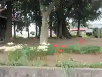 八坂神社(神奈川県)