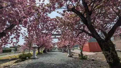 伊香具神社(滋賀県)