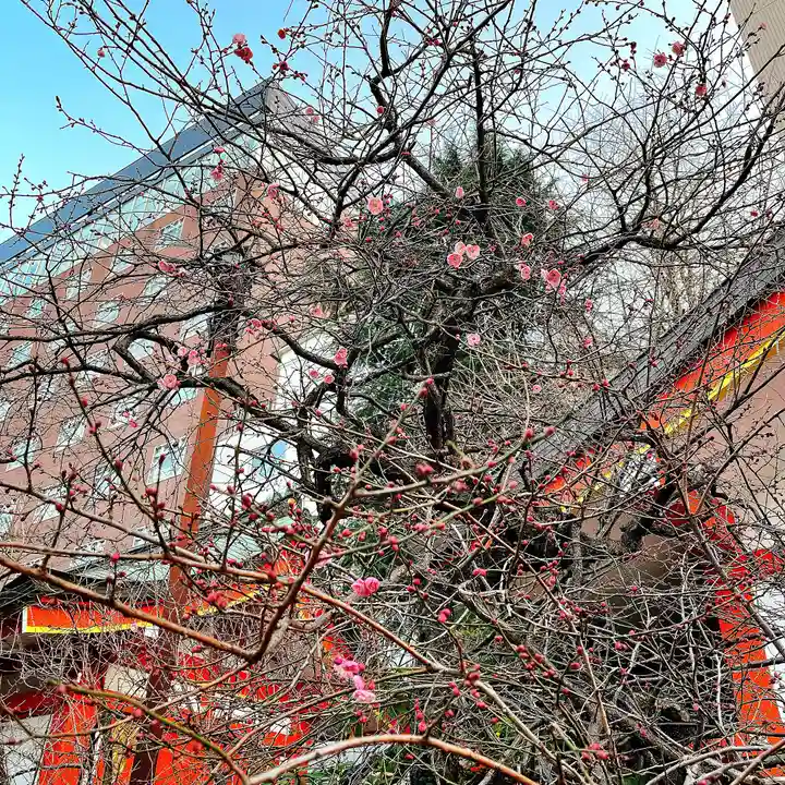 花園神社の自然