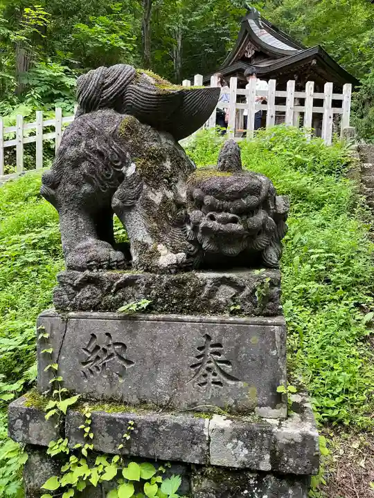 戸隠神社九頭龍社の狛犬