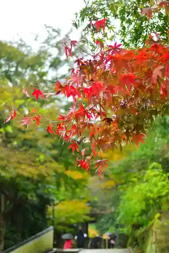 円覚寺(神奈川県)