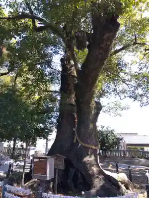 細江神社(静岡県)