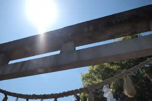 安房神社の鳥居