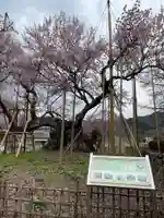 実相寺の自然