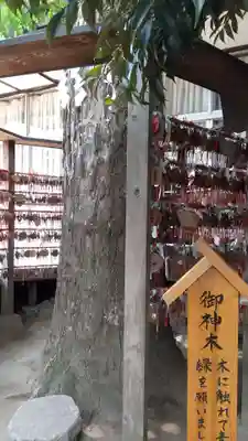 越谷香取神社のその他建物