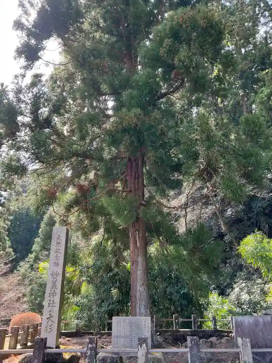 妙義神社(群馬県)