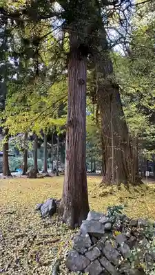 柳津虚空蔵尊 寳性院(宮城県)