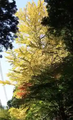 播州清水寺(兵庫県)