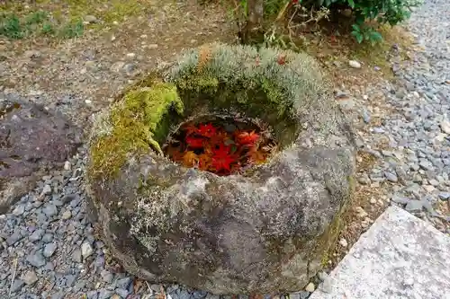 圓光寺の庭園