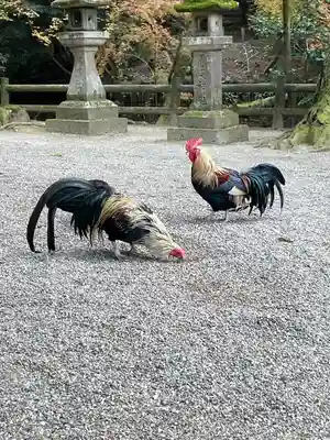 石上神宮(奈良県)