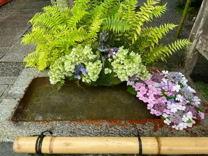 出雲大神宮の手水舎