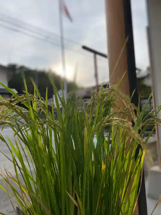 大鏑神社の自然