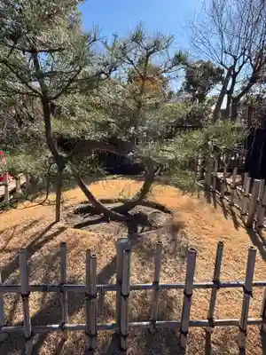 穴八幡宮(東京都)