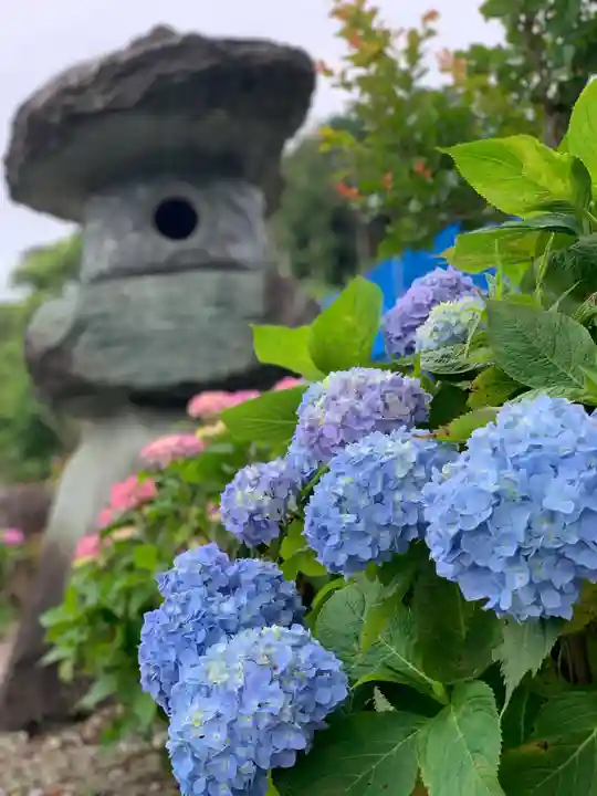 摩訶耶寺のその他建物