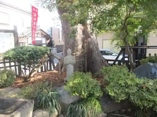 今宮坊(埼玉県)