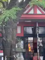 笠䅣稲荷神社の本殿・本堂
