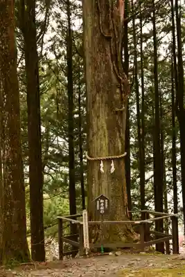 身延山奥之院思親閣(山梨県)