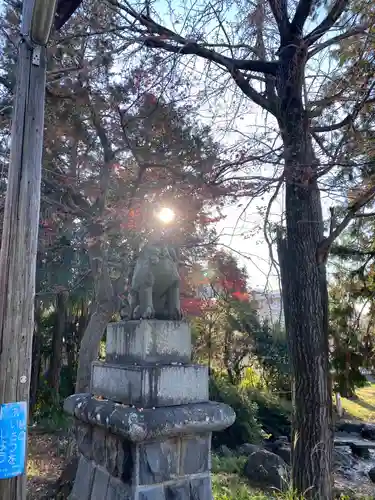 甲斐総社八幡神社の狛犬