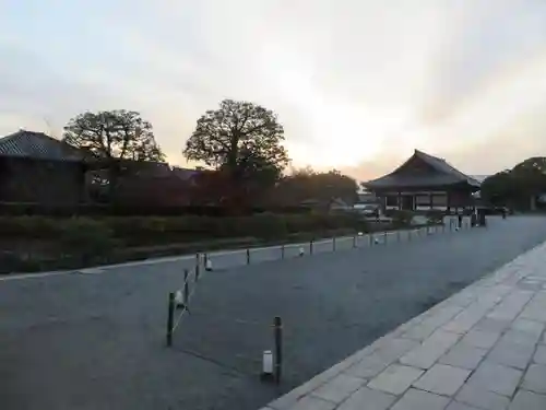 東寺（教王護国寺）の庭園