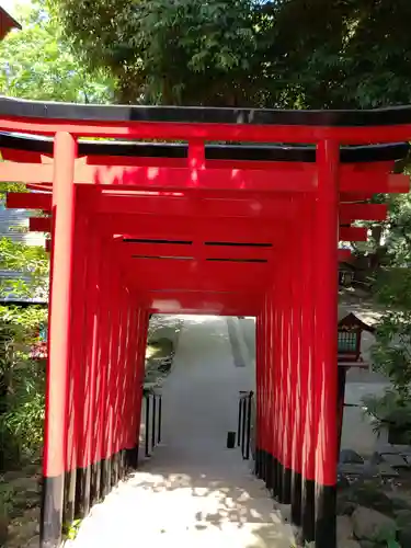 乃木神社の鳥居
