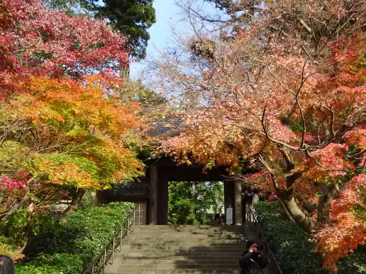 円覚寺の山門・神門