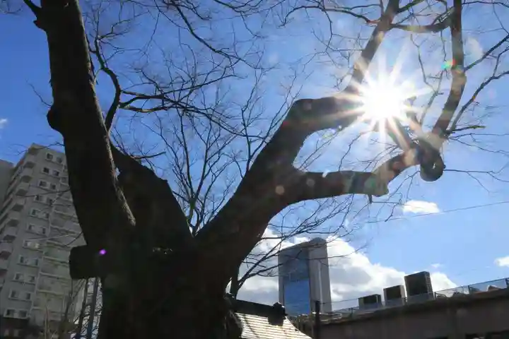阿邪訶根神社の自然