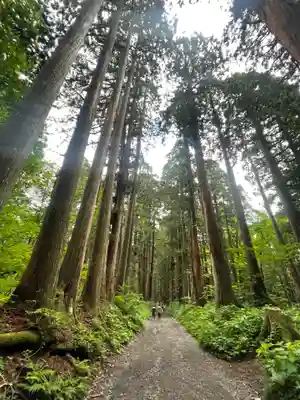 戸隠神社奥社(長野県)