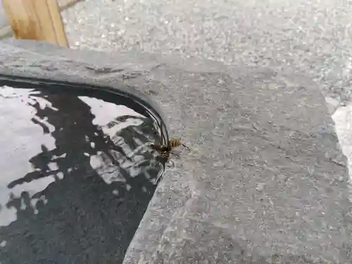 出雲大社飛騨教会(岐阜県)