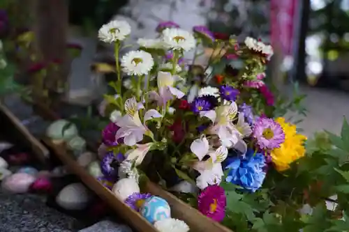 滑川神社 - 仕事と子どもの守り神の手水