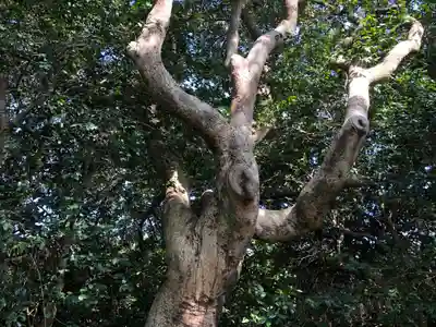 八幡宮のその他建物