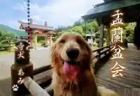 長徳寺の動物