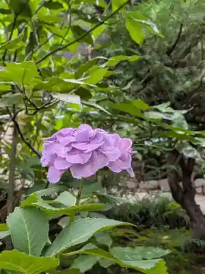 乃木神社(東京都)