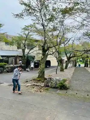 天鷹神社(岐阜県)